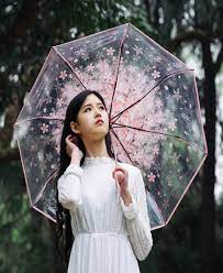 Transparent Umbrella