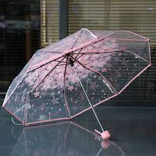 Transparent Umbrella